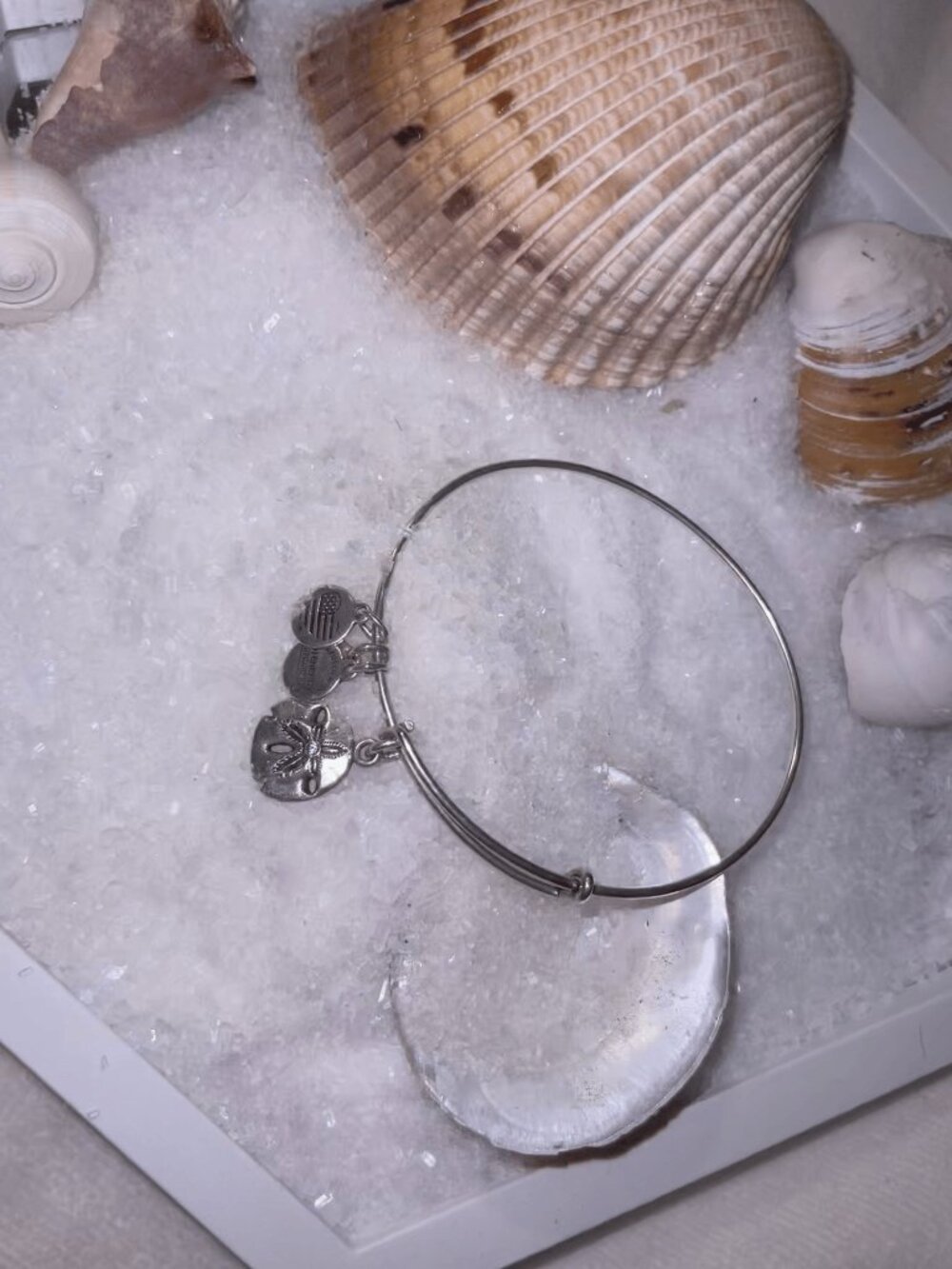 Alex and Ani - Sand Dollar Charm Bangle